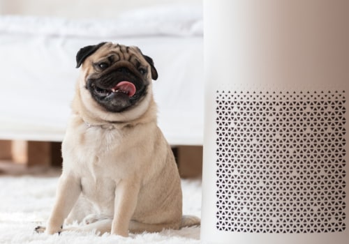 Does the Brand of Air Filter Really Matter?